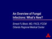 An Overview of Fungal Infections: What